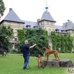 Tomas, Argos and Dexter at Alnarp Castle