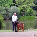 Tomas, Argos & Dexter in the park