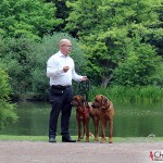 Tomas, Argos & Dexter in the park