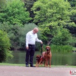 Tomas, Argos & Dexter in the park