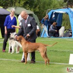 NORDUCH, EECH, SE JV-12 Kadamo Rob Roy “Dexter”