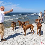 Tomas, Karin, Ellen, Christoffer & Kadamodogs