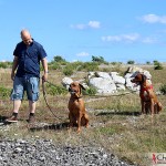 Tomas, Dexter & Argos at Asunden