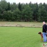 Phase 1 – Approaching person clapping – walking towards the dog – turn around