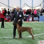 Kadamo Nothing But Gold "Argos"