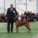 NORDUCH, EECH, SEJW-12 Kadamo Rob Roy "Dexter"