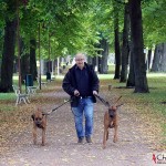 Dexter, Tomas and Argos on "Norra Esplanadgatan"