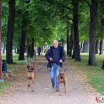 Dexter, Tomas and Argos on "Norra Esplanadgatan"