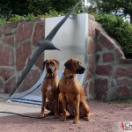 Argos and Dexter at Åland Maritime Museum