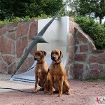 Argos and Dexter at Åland Maritime Museum