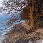 Visby beach walk