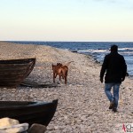 Tomas. Argos and Dexter at the Baltic sea