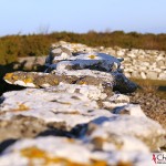 One of the limestone's walls at Fårö