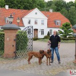 Tomas, Koya & Argos outside Louiselund in Haderslev