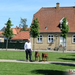 Tomas, Argos & Koya in Christiansfeld, Denmark