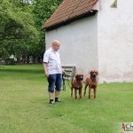 Tomas, Argos & Dexter at the vicarage