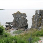 The limestones at Holmhällar