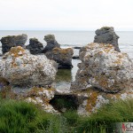 The limestones at Holmhällar