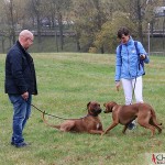 Tomas, Nancy, Argos & Nora