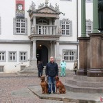 Dexter, Tomas & Argos at the Town Hall