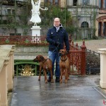 Argos, Tomas & Dexter at the orangery