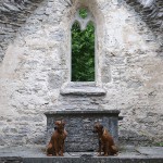 Argos & Dexter at the Ehlinghem churchruin