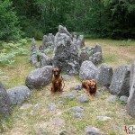Argos & Dexter at the boat-shaped graves in Rannarve