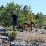 Tomas, Argos & Dexter at Södra Hällarna nature reserve, outside of Visby