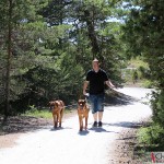 Dexter, Argos & Tomas at Södra Hällarna nature reserve, outside of Visby