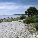 Själsö harbor