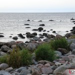 Själsö harbor