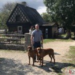 Tomas, Argos & Dexter at Bunge, Fårösund