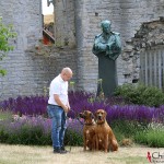 Tomas, Dexter & Argos in Visby