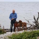 Tomas, Argos & Dexter in Norderstrand