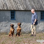 Argos, Dexter & Tomas in Kovik