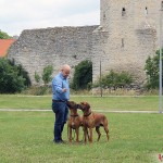 Tomas, Argos & Dexter in Visby