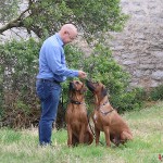 Tomas, Dexter & Argos in Visby