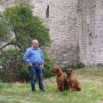 Tomas, Dexter & Argos in Visby